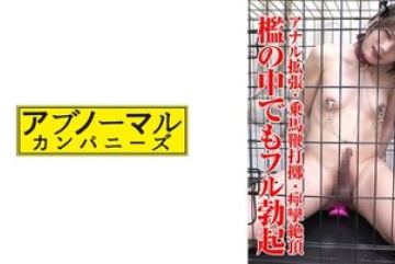 481SACZ-431 — 니코 1 야동온라인