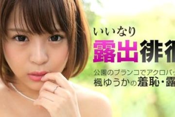 Caribbeancom-100315-988 — 순종적인…